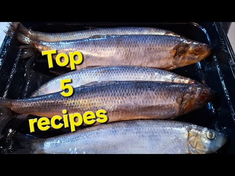 Herring Is Not Just "Under a Fur Coat"! 5 Delicious Recipes for Every Day.