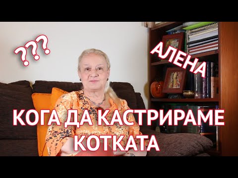 Кога да кастрираме котката?