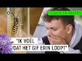 JURRE WORDT GESTOKEN DOOR EEN WESP! | Steken en Prikken #1 | NPO Zapp