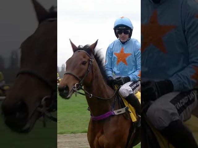 Thumbnail for Post ID: vIVsfrSygv4