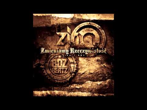ZINA / BDZ - ZMIENIAMY RZECZYWISTOŚĆ   ( Promomix )