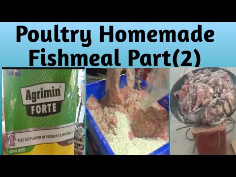 YouTube video about: Where to buy fish meal for chickens?