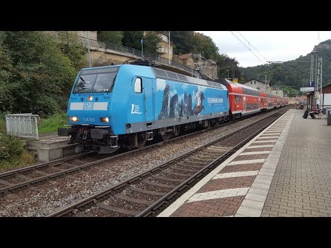 Alle 3 Werbeloks der BR 146 von der S-Bahn Dresden - Königstein (Säch. Schweiz) und Dresden Hbf