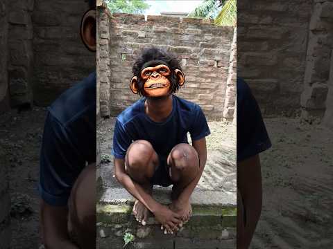 Chú chó😜🙉🙊🦥🤣 dễ thương nhảy cao Cute dog jumping high #shorts