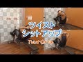 ツイストシットアップ(Twist Sit Up)のやり方とフォーム