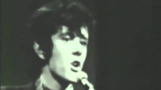 Donovan - Universal Soldier (The Big T N T  Show - 1966)
