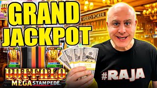 We Made HISTORY on Buffalo Mega Stampede — GRAND JACKPOT HIT! @TheRealWBG