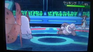 ちょうのまいで敵を圧倒する【ウルトラサンムーン】