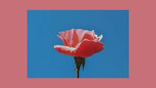 Download lagu Best Indie Discoveries | February 2022 mp3