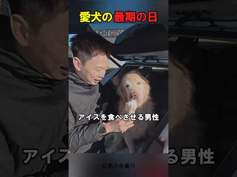 ゴールデンレトリバーと飼い主の涙の別れ
