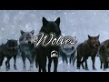 Sam Tinnesz - Wolves (Lyrics) ft. Silverberg