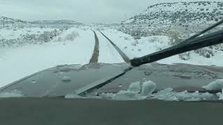 Day 330. March 31, 2020. Western Slope Colorado.