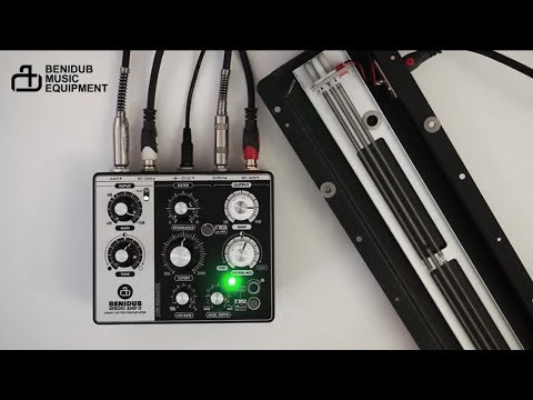 BENIDUB Spring Amp II Spring reverb