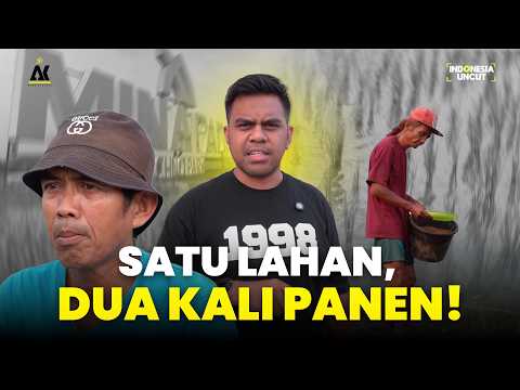 Menatap Masa Depan Pertanian Lewat Minapadi Panembangan | Indonesia Uncut