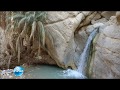 Тунис (видео проект Андрея Филиппова "МИР ГЛАЗАМИ ТУРИСТА") экскурсии ...