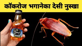 काॅकरोज और चुहे भगानेका देसी नुस्खा | Cockroach  Bghgane Ka Tarika | How to Kill Cocktoches