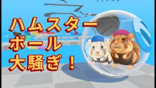 【ハムスターボール大騒ぎ！】オチが最低なんて爆発【Vtuber】