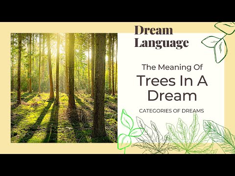What Does Trees Mean In Dreams? | Biblical & Spiritual Meaning Trees In Dreams