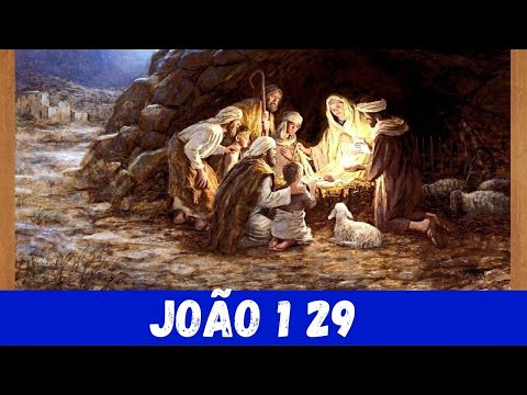 JOÃO 1 29