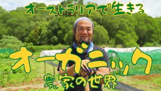【海外生活】こんなところに日本人　オーストラリア・ケアンズで有機野菜を育てる　無農薬野菜を販売する　オーガニック農家の世界