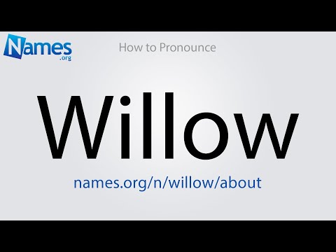 What Does The Name Willow Mean? What Does The Name Willow Mean?