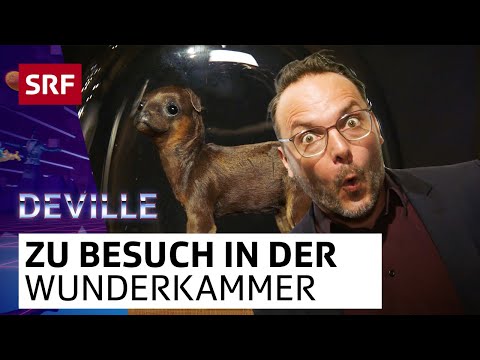Panoptikum: In der Wunderkammer | Deville