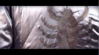 Painted (Evans Blue) - | - Drive Music Video