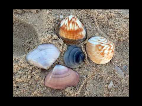 Strength for tomorrow©