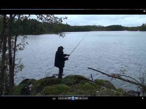 Schwedisch für Anfänger