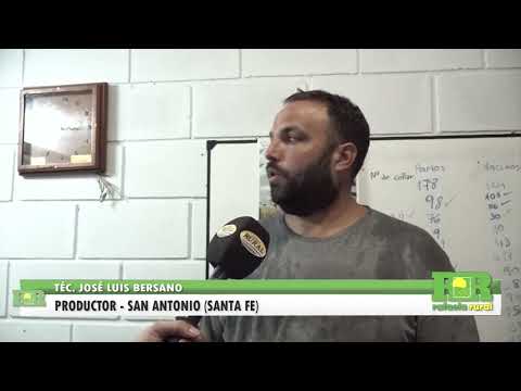 Establecimiento José Mar / Sistema de ordeñe voluntario / San Antonio (Santa Fe)