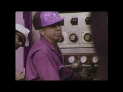 Flanorler II - Blackbird [COVER]