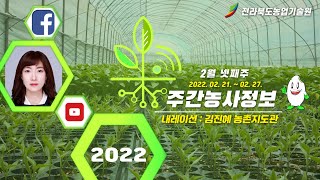 2월4주 주간농사정보