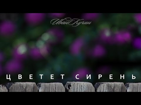 Иван Кучин - Цветет Сирень