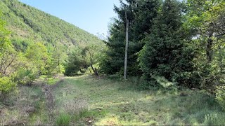 The Lehigh and New England railroad Lehigh Gap Palmerton spur. Palmerton PA. (2 of 4)