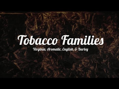 Pipe Tobacco 101: Virginia, Aromatic, English, & Burley Explained