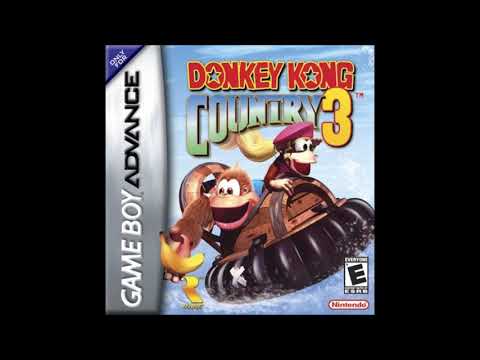 Best VGM 1243 - Donkey Kong Country 3 (GBA) - Enchanted River