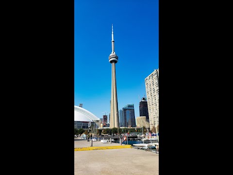 Toronto Life! 🇨🇦 #toronto #cntower #downtown #torontolife #canadalife #shorts