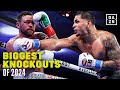 Biggest Knockouts of 2024 | Volume 1