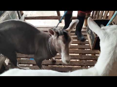 Minha rotina da manhã (PARTE 1)