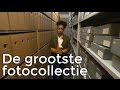 STE - De grootste fotocollectie | Het Klokhuis