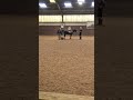 Amelia on Holly
