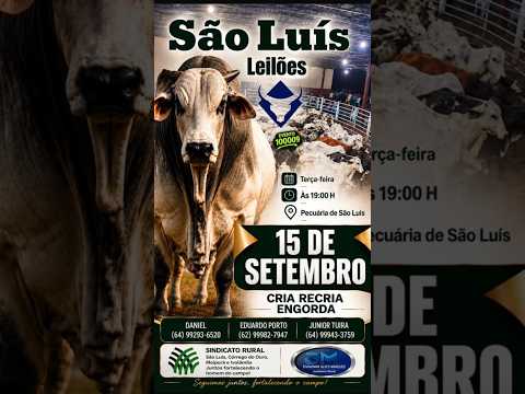 São Luis de Montes Belos - GO   15/09/2026