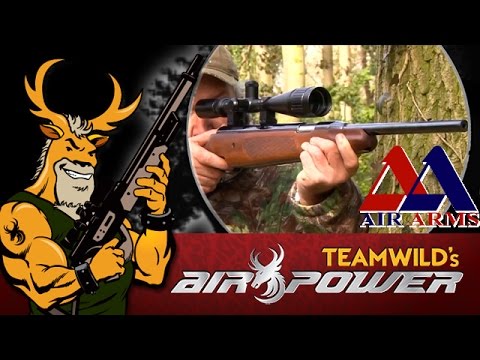 Air Arms Pro Sport Review - "Best Air Gun Ever"?