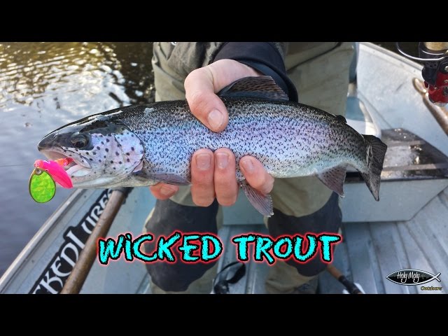 Wicked Trout Killers In Action