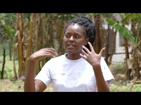 How Farmers Prevent Maize Lethal Necrosis Disease (MNLD)