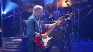 David Gilmour - Sorrow (Live)