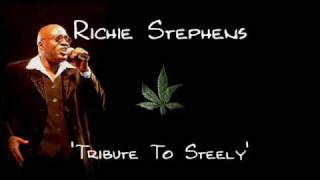 Richie Stephens Tribute to Steely