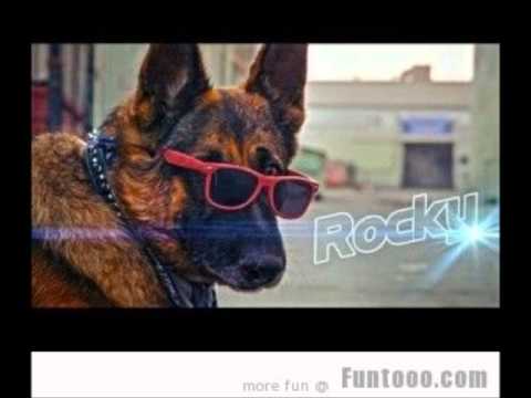 Immagini Divertenti -Te Sgozzo