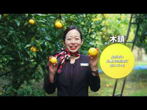 能美市観光PR動画（能美市の特産品「国造ゆず」）