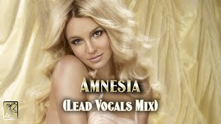 Amnesia (Lead Vocals Mix)
